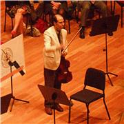 Profesor de viola y violín en Vigo, Cangas, Moaña y Pontevedra capital